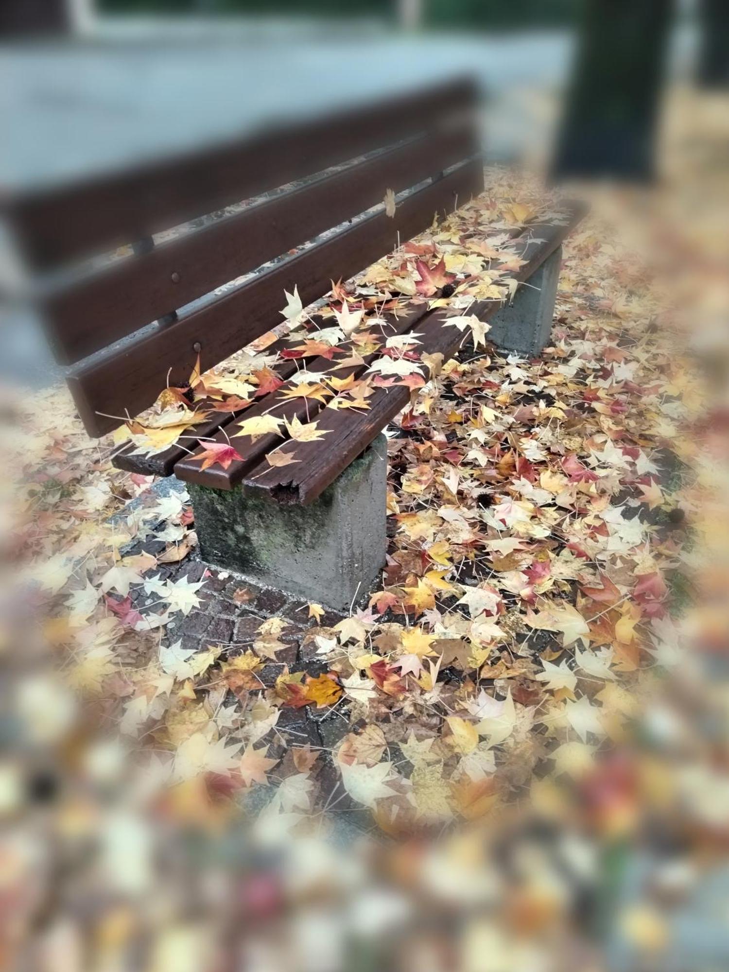Un Balcone Sul Lago 奥梅尼亚 外观 照片