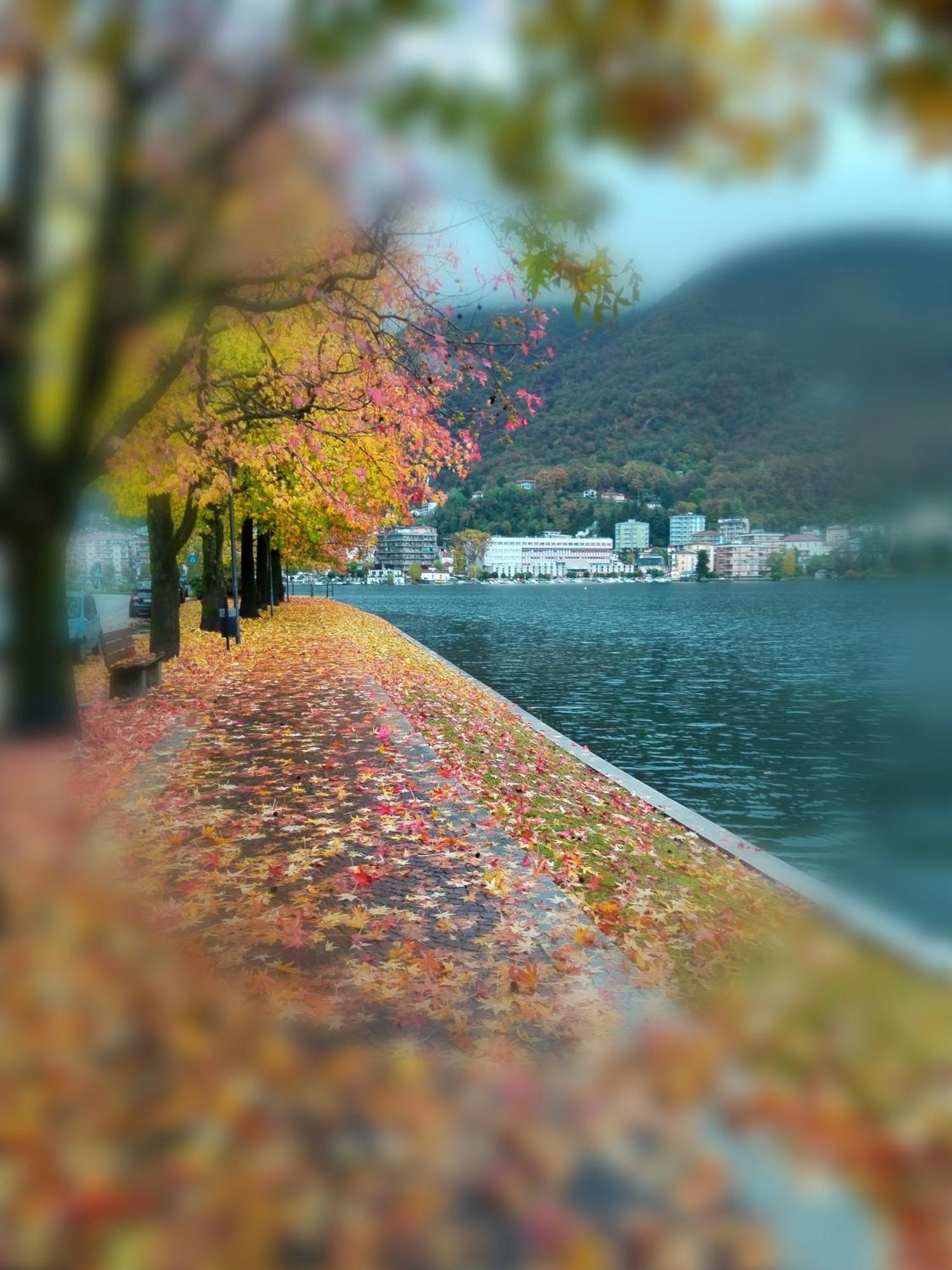 Un Balcone Sul Lago 奥梅尼亚 外观 照片