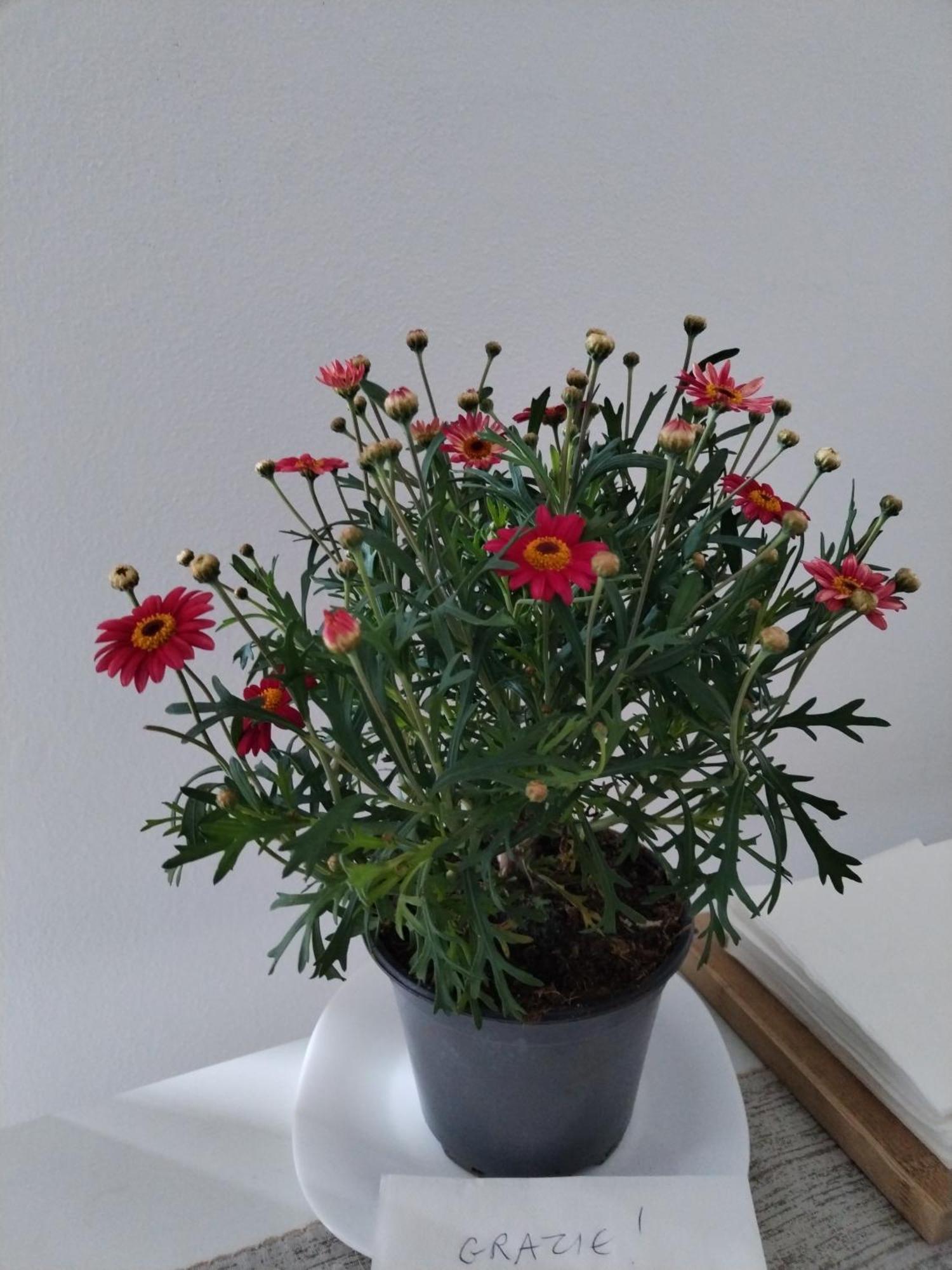 Un Balcone Sul Lago 奥梅尼亚 外观 照片