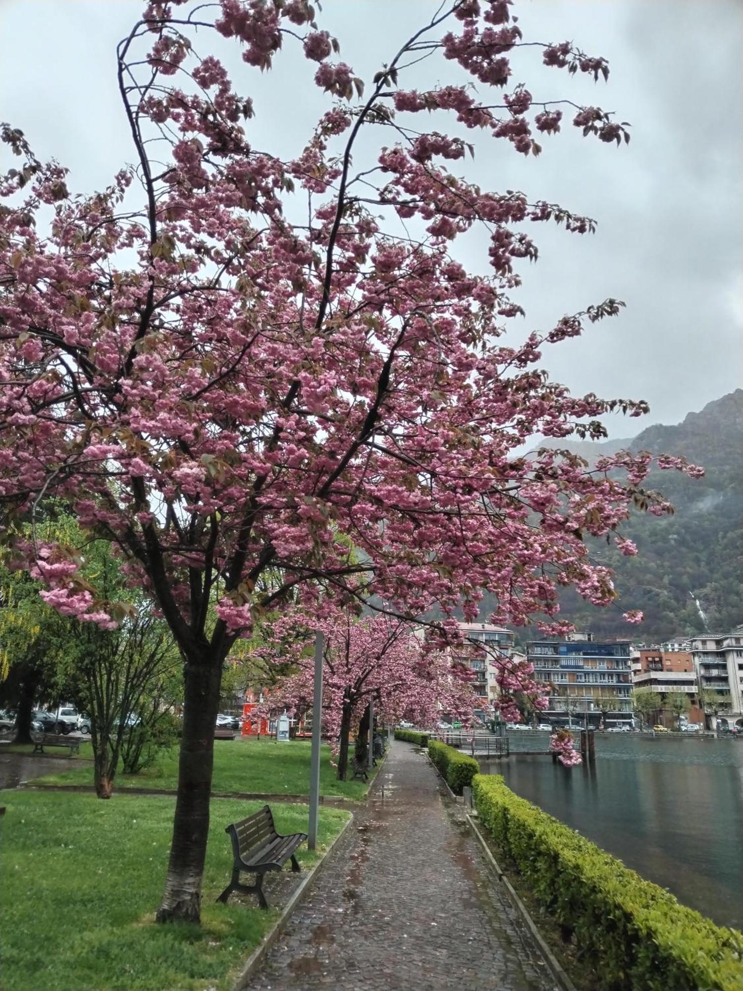 Un Balcone Sul Lago 奥梅尼亚 外观 照片