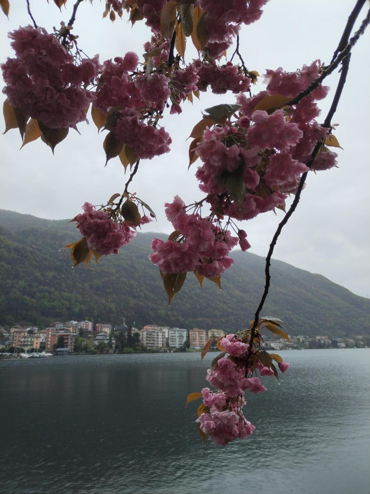 Un Balcone Sul Lago 奥梅尼亚 外观 照片