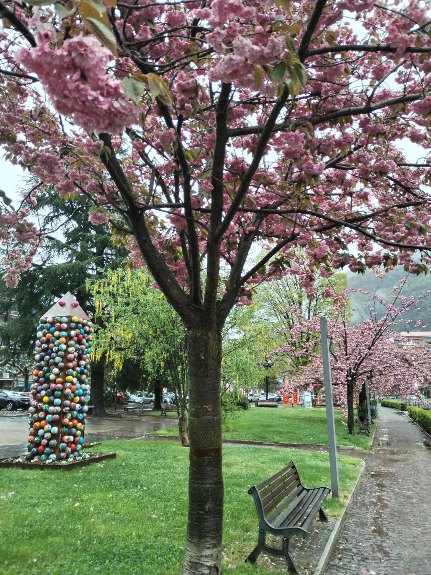 Un Balcone Sul Lago 奥梅尼亚 外观 照片